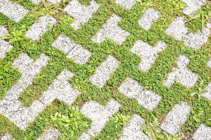 Paver Flooring Installation in Salt Lake City, UT